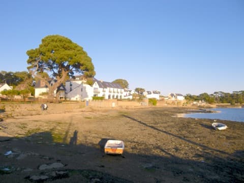 Élagueur Larmor-Baden