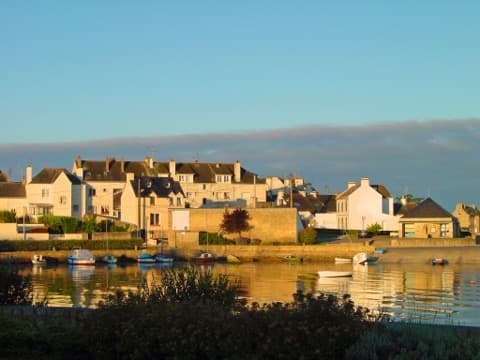 Élagueur Locmiquélic