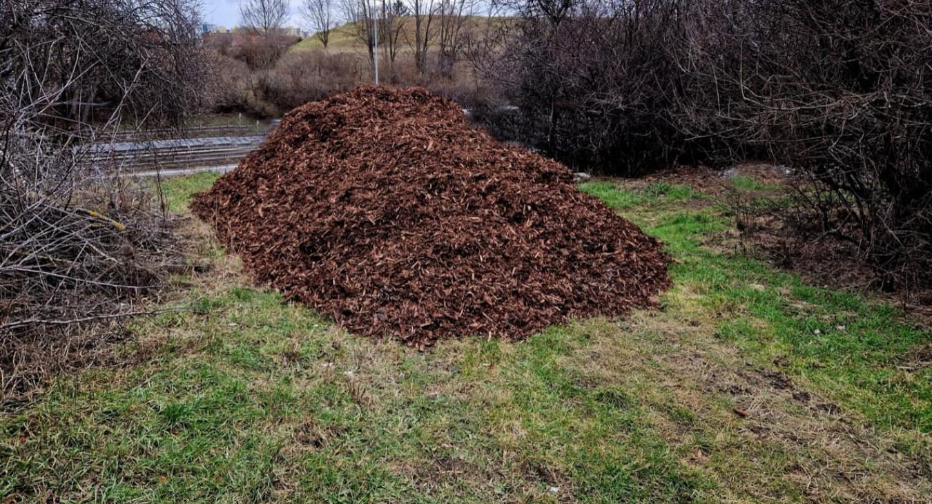 Broyage de branches et Gestion des déchets verts 56 Morbihan