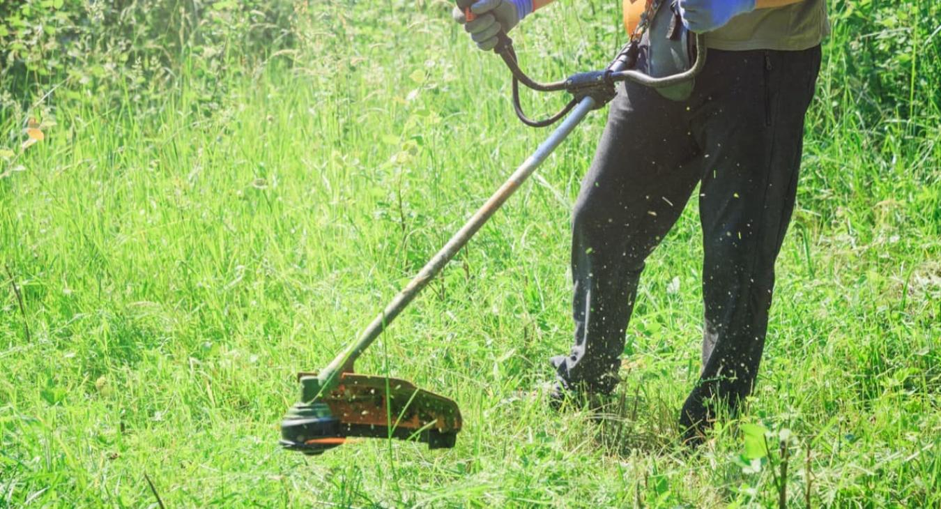 Taille de haies & Débroussaillage 56 Morbihan