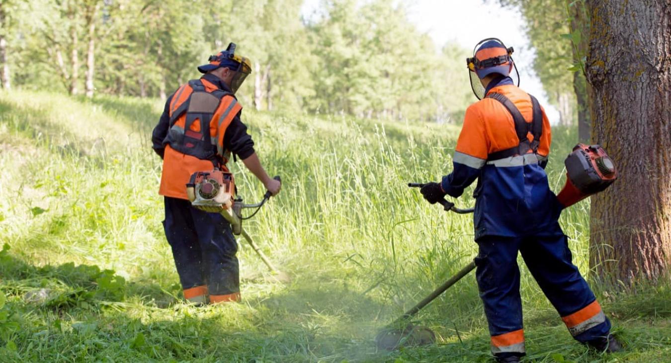 Taille de haies & Débroussaillage 56 Morbihan