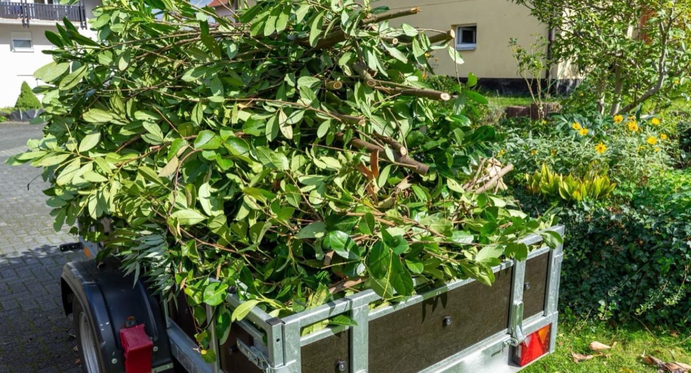 Broyage de branches et Gestion des déchets verts 56 Morbihan