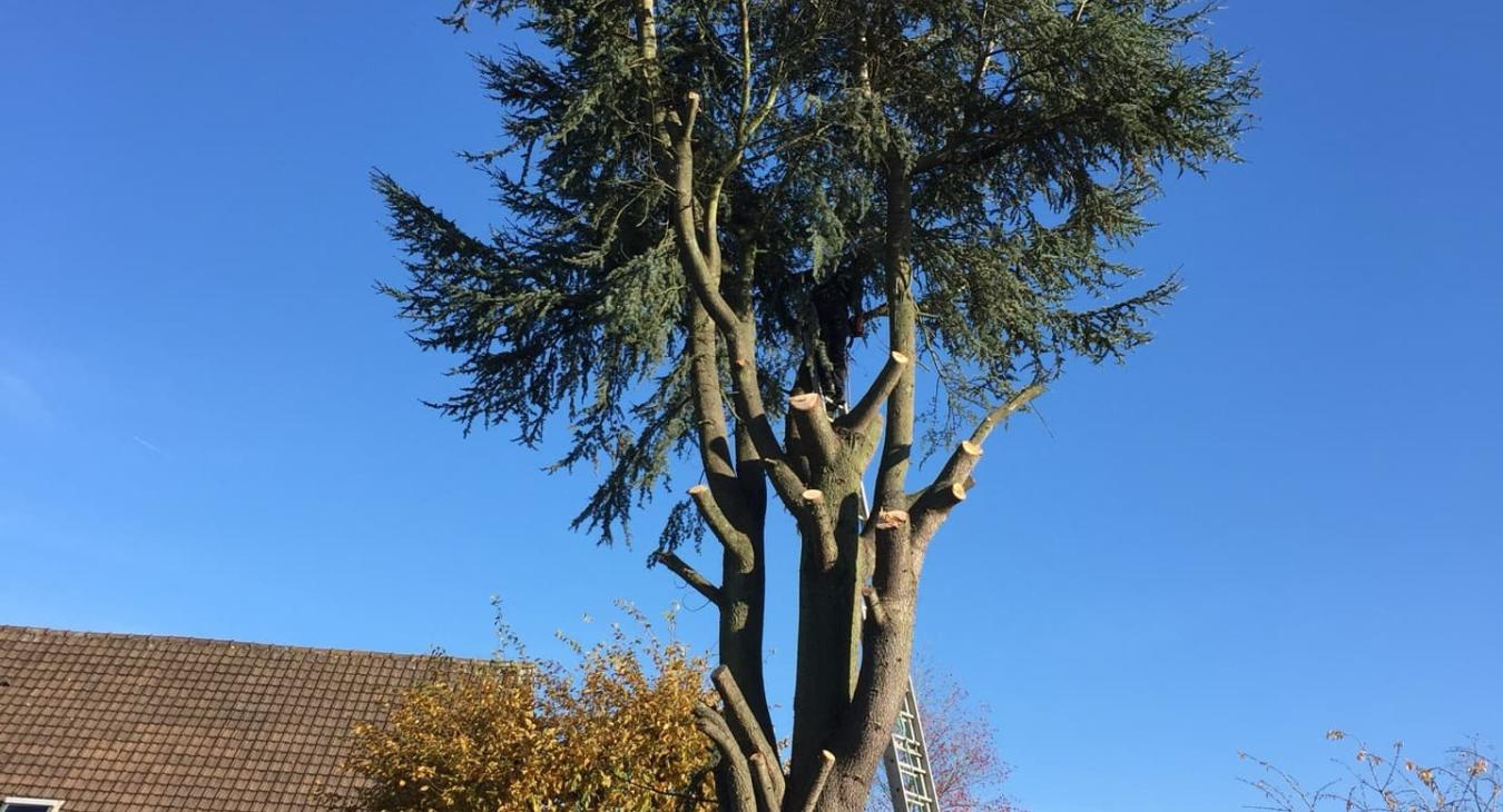 Abattage & Débitage