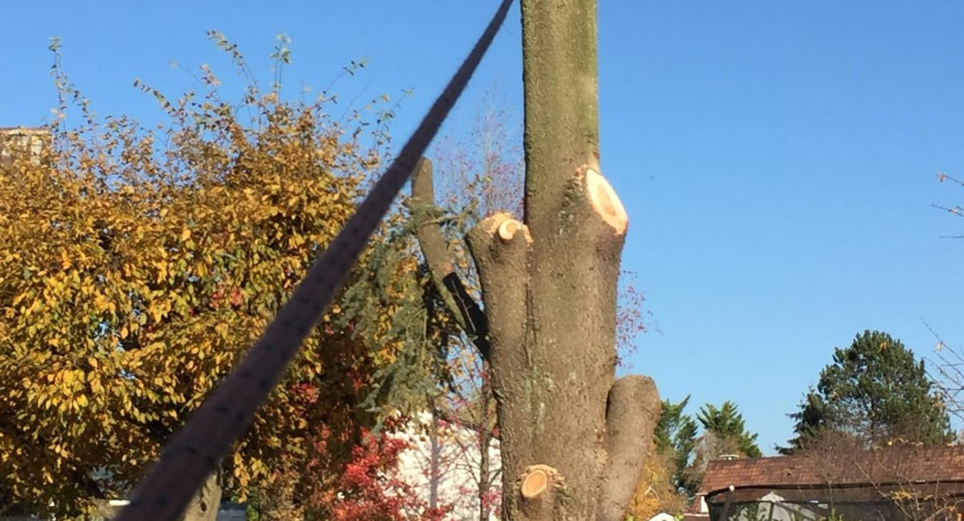 Abattage & Débitage