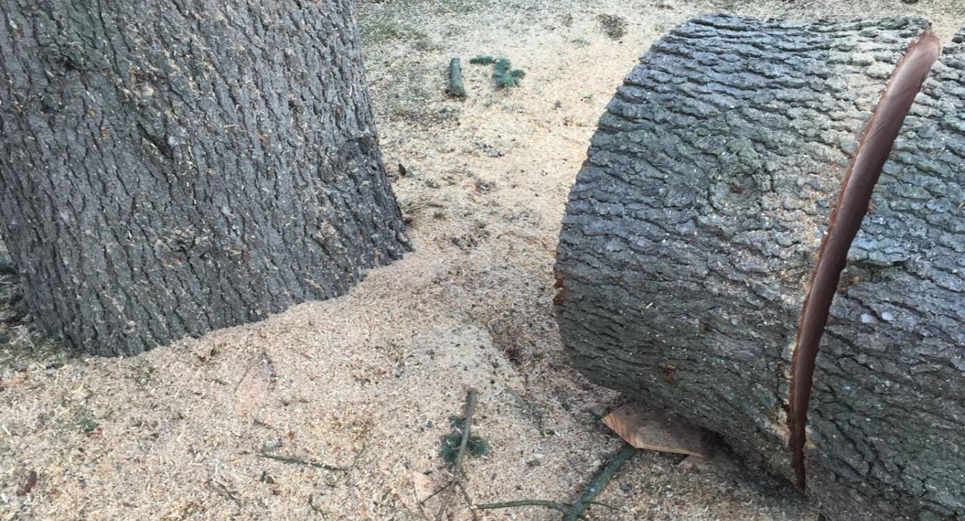 Abattage & Débitage