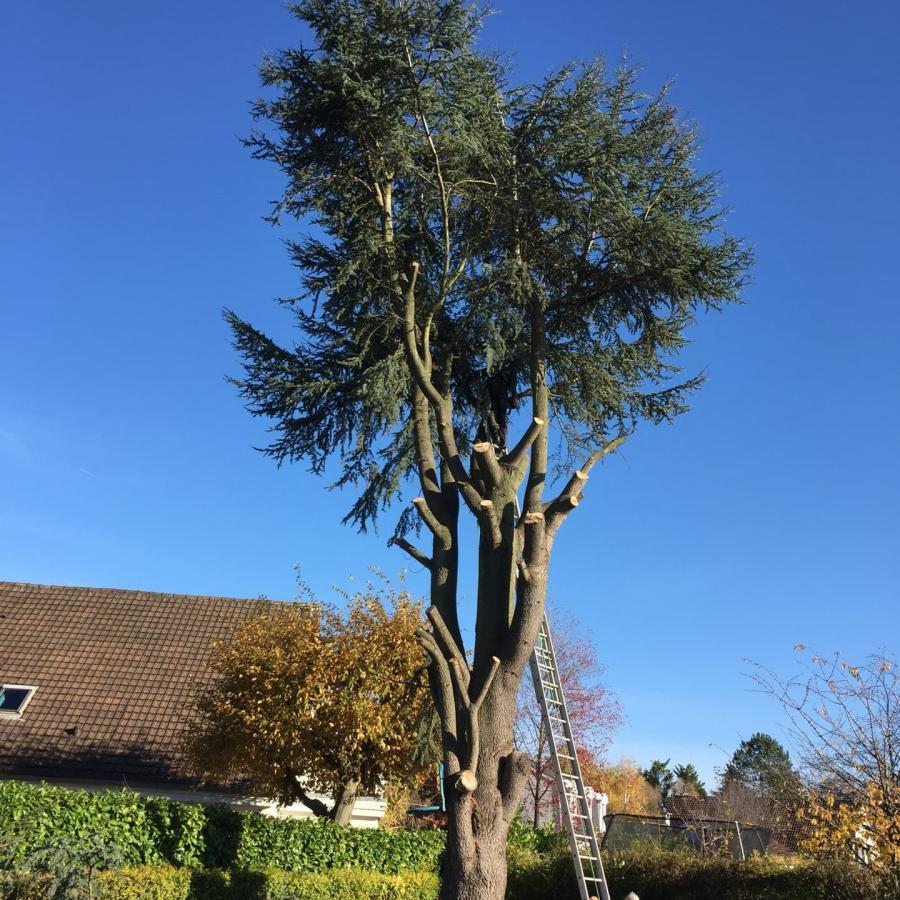 Abattage & Débitage